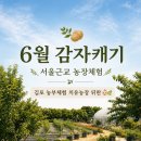 가볼만한 곳 추천 👶🏻] 🥔 감자수확 농부체험&amp;야외 모래놀이 🚜, 김포 치유농장 뒤란 내돈내산 솔직후기❕