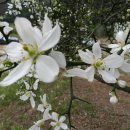 양명여자고등학교 이미지