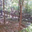 혜인농장 이미지