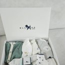 출산선물 추천: 신생아 배냇저고리 착장후기 (블루독베이비, 이키)