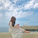 이호서프 | [ 제주도 공항근처 액티비티 서핑강습 "이호서프" 내돈내산 솔직후기🌊🏄🏻‍♂️❌ ]