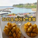 제주29애월풀빌라A | 제주 애월 오션뷰 호텔 추천 다인오세아노 주차 정보 및 숙박 후기