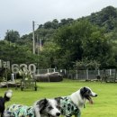 귀래630펜션 이미지