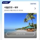 이디야국제성모 | 아데노이드 비대증 편도 비대증수술 후기