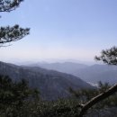청목장갑 Daum카페
