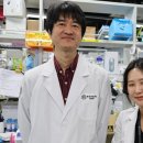 신경줄기세포의 뉴런-교세포 전환 스위치 발견