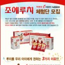 조엘랑 이미지