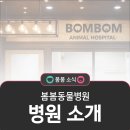 봄봄동물병원 네이버블로그