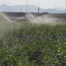 진솔2농장 이미지