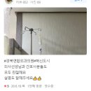 경북연합외과 | [수성구] 경북연합외과의원 치질 치핵 수술 후기 리뷰 모음