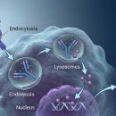 제이피바이오 이미지
