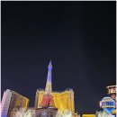 호텔쇼 | 라스베가스 여행 벨라지오 호텔 분수쇼 후기