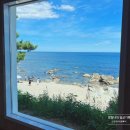 엉덕 | 영덕 2박3일 여행 2일차, 국내 스노클링 명소 대탄항&amp;카페보움(+장비대여,주차,샤워장)