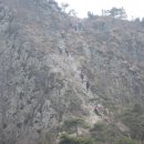 봄의향연 이미지