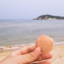 백도 해변민박 이미지