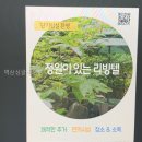 역삼싱글리빙텔