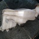 명성카센타 이미지