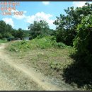 장은보건진료소 이미지