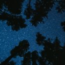 가현어린이공원 | 검단 스타힐스 가현숲, 최고의 주거환경은?