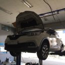 애니카랜드 공도점 이미지