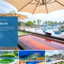 허산길 | 파라다이스 스파 도고/ 겨울방학 가볼 만한 곳