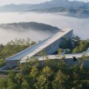 (주)남일 | 군위 사유원 매화 개화 상태 솔직 리뷰 (3월 마지막 주 추천)