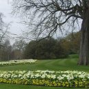 런던 여행8 - 하이드파크 공원을 보고는 영국왕실의 고향 웨스트민스터 사원에 가다! 이미지