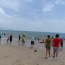 명사십리해수욕장 Daum카페