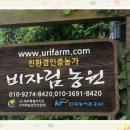 용인가축약품 이미지