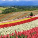 해외항공여행사 이미지