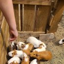 원주자연 이미지