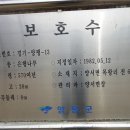 춘초몽 이미지
