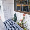 차돌풍(방배점) | 방배역 점심식사로 딱인 차돌풍 차돌박이 전문점
