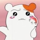 수성사랑니치과의원 이미지