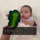 올리앤 | 올리앤캐롤 치발기 후기 | 치발기계 에르메스? 6개월 아기 반응·가격·세척 총정리