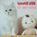 가산동커튼 블라인드 에이스비즈포레 사무실 파티룸 설치 다녀왔어요~