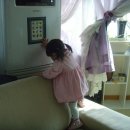 강쥐세상 이미지