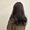 헤어셋틀러 이미지