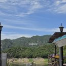 여행나루 | 부모님 모시고 가기 좋은 많이 걷지 않아도 되는 여행 충주호 단양유람선 장회나루 솔직 후기 장단점 비교