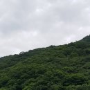 선운산터미널 이미지