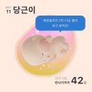 임신 31주 ~ 33주 (부암동 나들이, 아기방 꾸미기, 출산가방 싸기, 안토리조트)