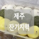 송화잔기지떡제주아라점