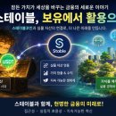 스테이블(stable) | 🌟 [이벤트 참여] 잠자는 자산을 깨우는 마법! 스테이블(Stable) 영상 심층 후기 💚✨