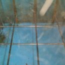 협성테크 이미지