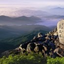 강여울 숲 이미지