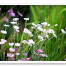 주제공원4호(공원관리사업소) 이미지