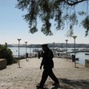 신전선착장 이미지