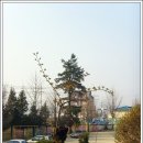 호법초등학교 이미지