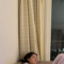 혜윤농장 이미지