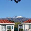 제주팜파스펜션 이미지